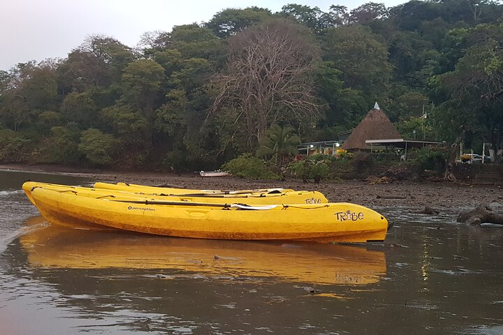Bioluminescence Experience in Paquera with Dinner Included - Photo 1 of 8